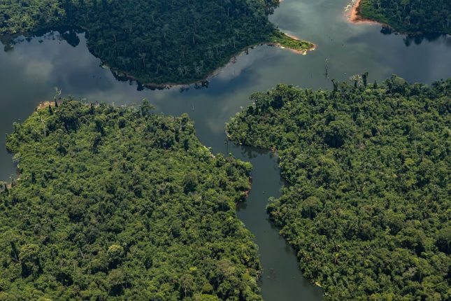 emos a oportunidade extraordinária de sermos a maior potência verde dos trópicos Foto: Daniel Teixeira/Estadão.